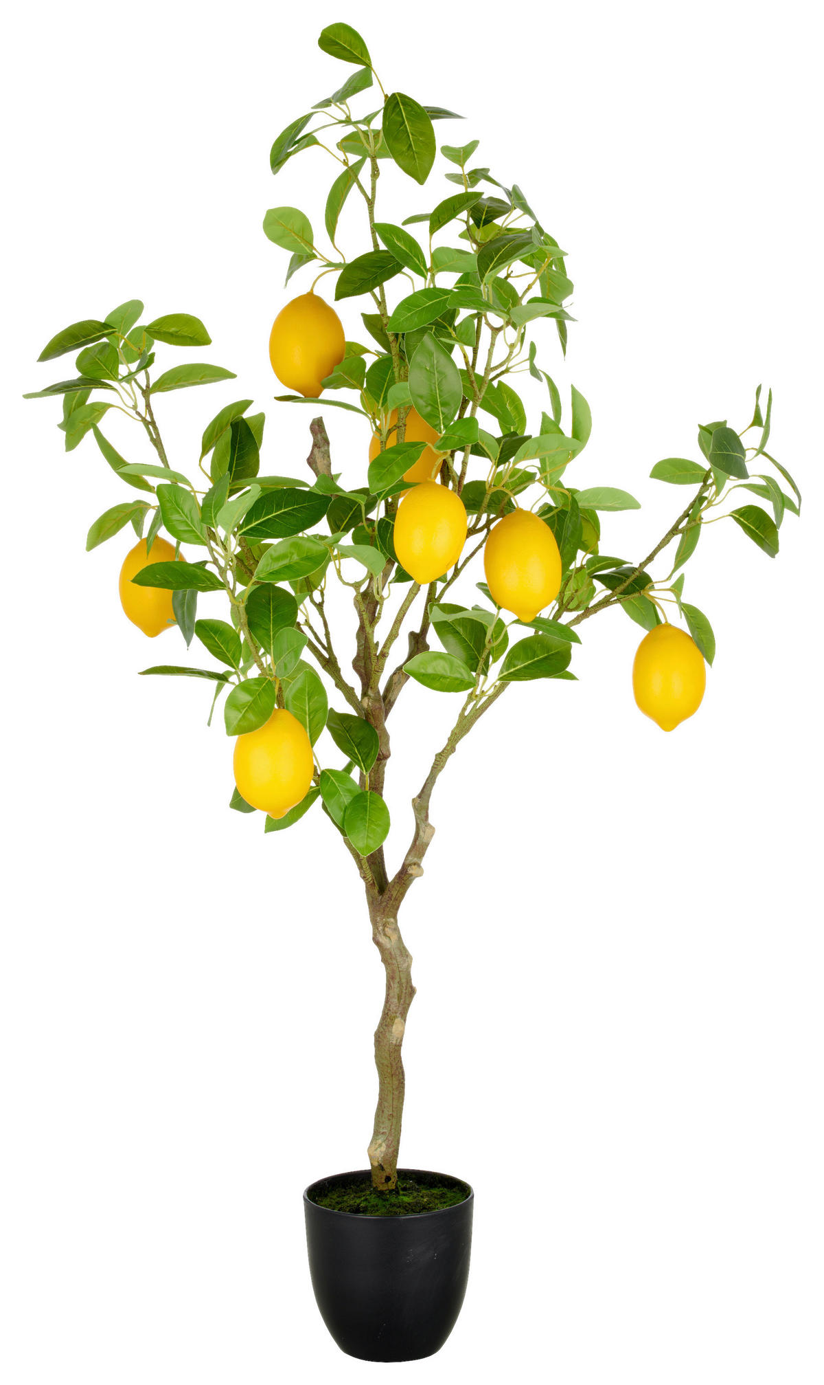 KUNSTPFLANZE  - Gelb/Braun, Basics, Kunststoff (21/115/21cm)