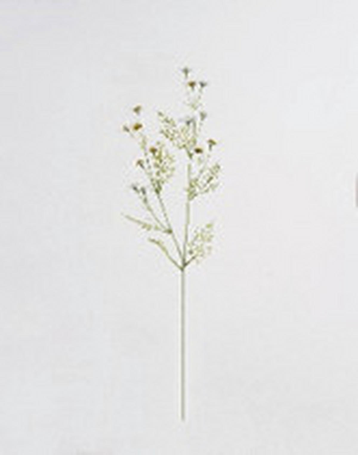 MŰNÖVÉNY - fehér/zöld, Basics, műanyag