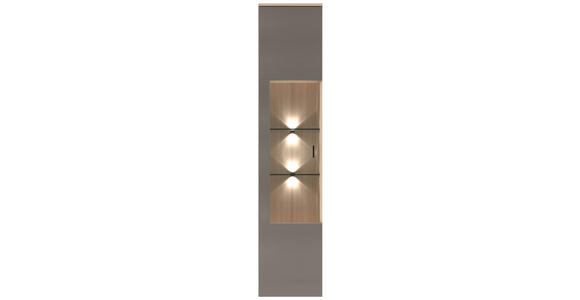 WOHNWAND 4-teilig  in Grau, Eichefarben  284/204/41 cm  - Eichefarben/Schwarz, KONVENTIONELL, Glas/Holzwerkstoff (284/204/41cm) - Carryhome