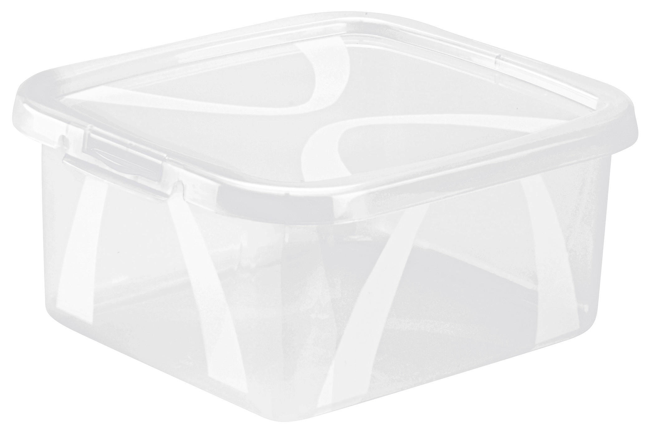 BOX MIT DECKEL    19,8/16,5/8,9 cm  - Transparent, KONVENTIONELL, Kunststoff (19,8/16,5/8,9cm) - Rotho