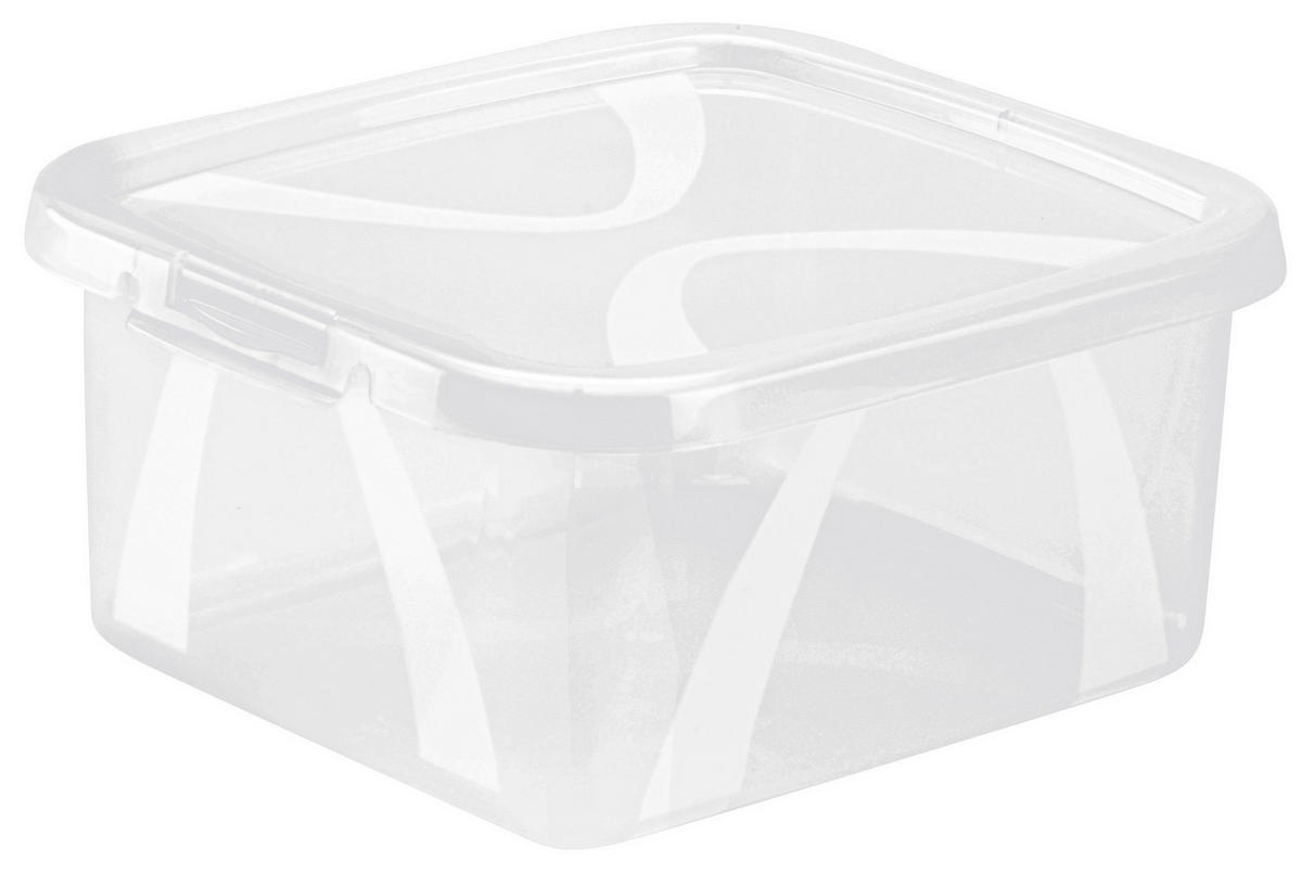 BOX MIT DECKEL 19,8/16,5/8,9 cm  - Transparent, Konventionell, Kunststoff (19,8/16,5/8,9cm) - Rotho