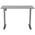SCHREIBTISCH 120/60/70-115 cm Schwarz elektrisch höhenverstellbar  - Schwarz, Design, Holzwerkstoff/Kunststoff (120/60/70-115cm) - Novel