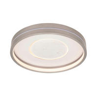 LED-TAKLAMPA Bakersfield 25 W 38/8,5 cm  - grå, Design, metall (38/8,5cm) - Novel