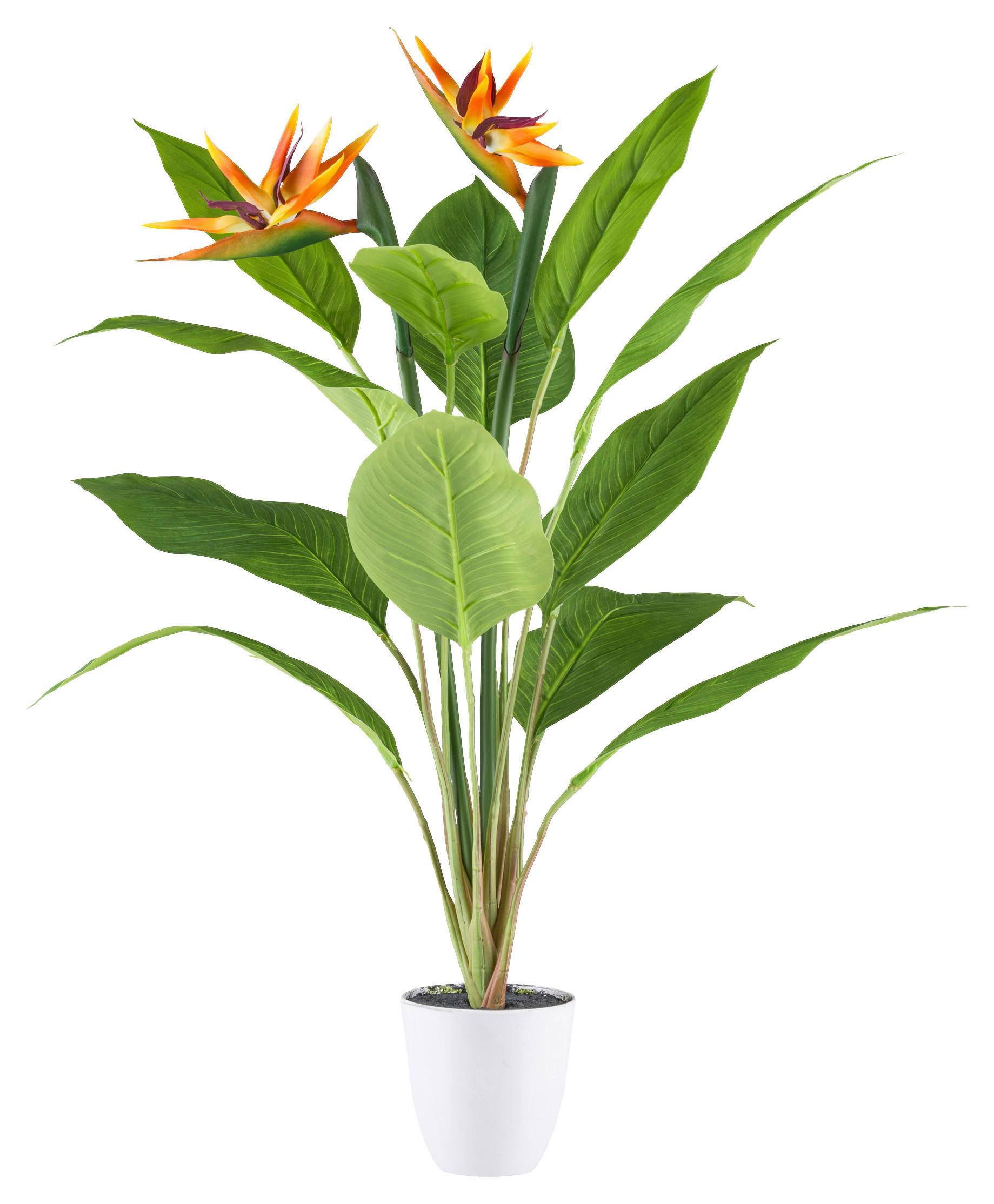 KUNSTPFLANZE Strelitzie 80 cm  - Gelb/Lila, Design, Kunststoff (80cm) - P & B