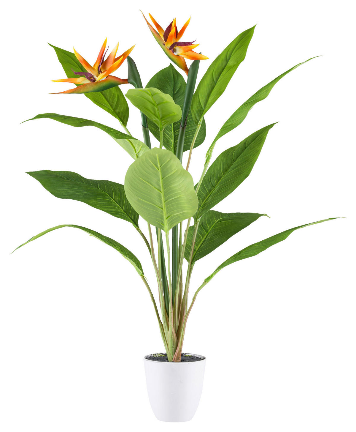 KUNSTPFLANZE Strelitzie 80 cm  - Gelb/Lila, Design, Kunststoff (80cm) - P & B
