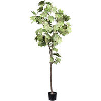 KUNSTPFLANZE Ahorn 175 cm  - Schwarz/Braun, Design, Kunststoff (175cm)