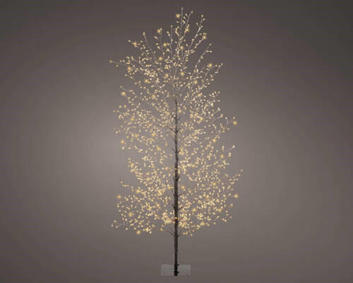POM DECORATIV - Basics (60,00/60,00/150,00cm)