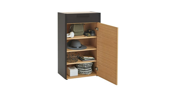 SCHUHSCHRANK 61/103/37 cm - Eichefarben/Schwarz, Design, Holz/Metall (61/103/37cm) - Dieter Knoll