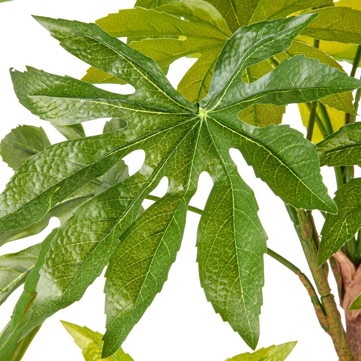 KUNSTPFLANZE Aralia 175 cm  - Creme/Braun, Basics, Kunststoff (175cm)