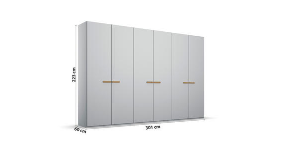 DREHTÜRENSCHRANK 301/223/60 cm 6-türig Grau - Grau, Trend, Holz/Holzwerkstoff (301/223/60cm) - Novel