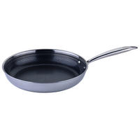 PÁNEV,  28 cm  - barvy stříbra, Basics, kov (28cm) - Chefkoch+Fackelmann