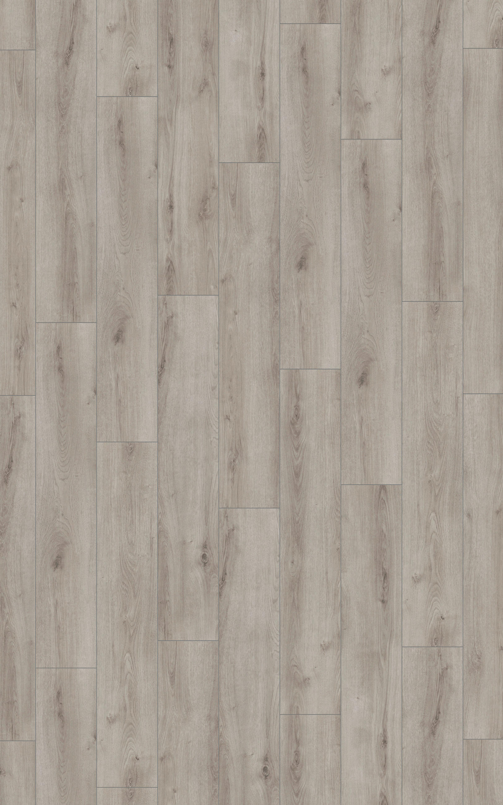 LAMINATBODEN Superior Advanced plus  - Eichefarben, KONVENTIONELL, Holz (138.0/24.4/0.8cm)