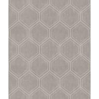 VLIESTAPETE  - Taupe, Basics, Papier/Kunststoff (53/1005cm) - Xora