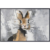 FUSSMATTE 40/60 cm Hopps  - Grau, Natur, Kunststoff/Textil (40/60cm) - wash+dry
