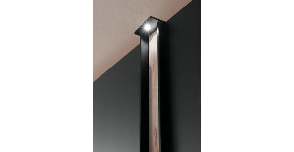 DREHTÜRENSCHRANK in Graphitfarben, Eichefarben - Eichefarben/Schwarz, Design, Holzwerkstoff/Metall (250/216/58cm) - Novel