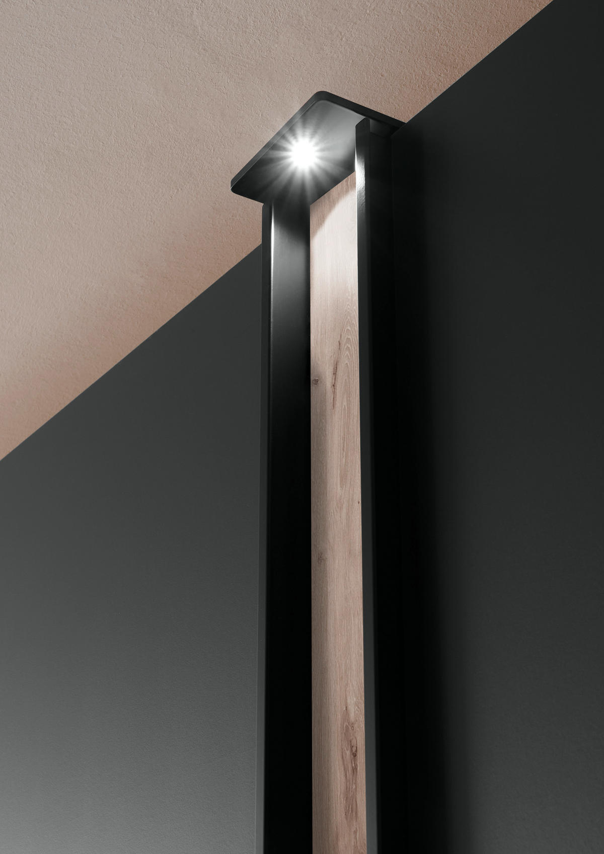 DREHTÜRENSCHRANK in Graphitfarben, Eichefarben  - Eichefarben/Schwarz, Design, Holzwerkstoff/Metall (250/216/58cm) - Novel