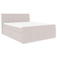 BOXSPRINGBETT 180/200 cm  in Greige  - Greige/Schwarz, KONVENTIONELL, Kunststoff/Textil (180/200cm) - Carryhome