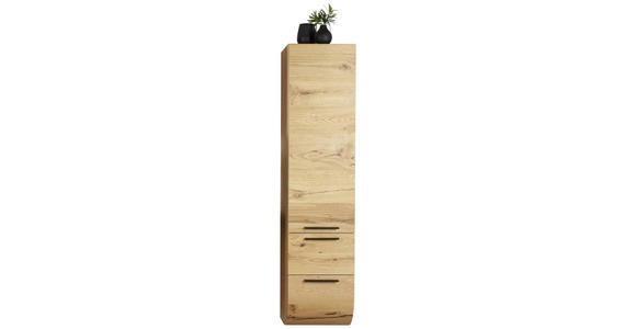 HOCHSCHRANK 40/173/45 cm  - Alteiche, MODERN, Holz (40/173/45cm) - Dieter Knoll