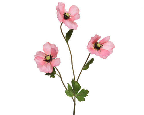 FLOARE DECORATIVĂ - Basics (10/5/71cm)