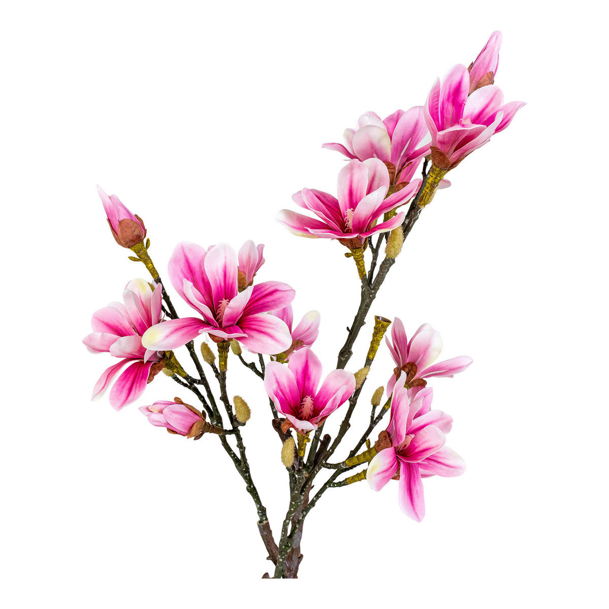 KONSTVÄXT magnolia 75 cm  - grön/brun, Basics, plast (75cm) - Ambia Home