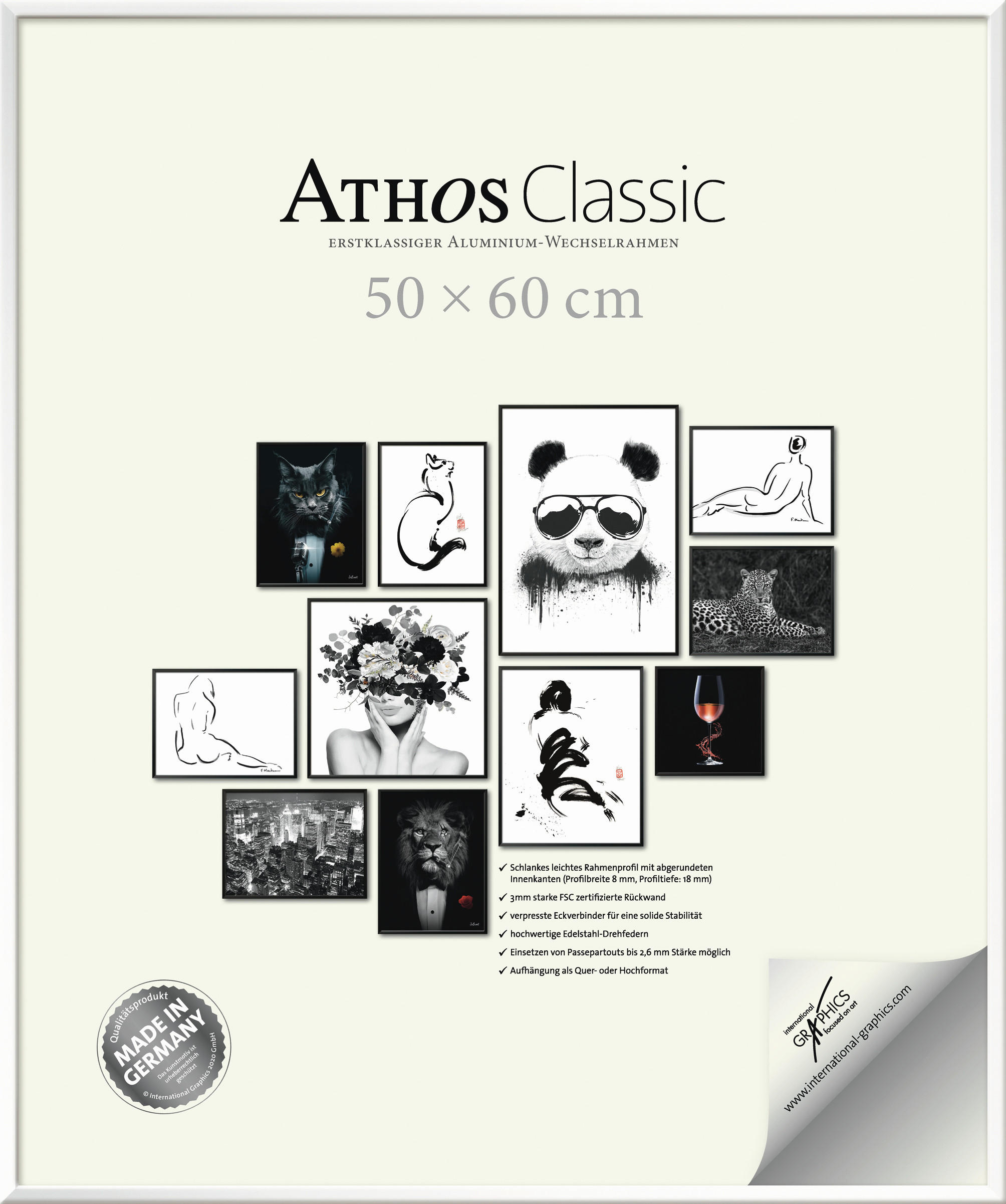 BILDERRAHMEN - Weiß Hochglanz, Basics, Papier/Holzwerkstoff (50/60/1,8cm)