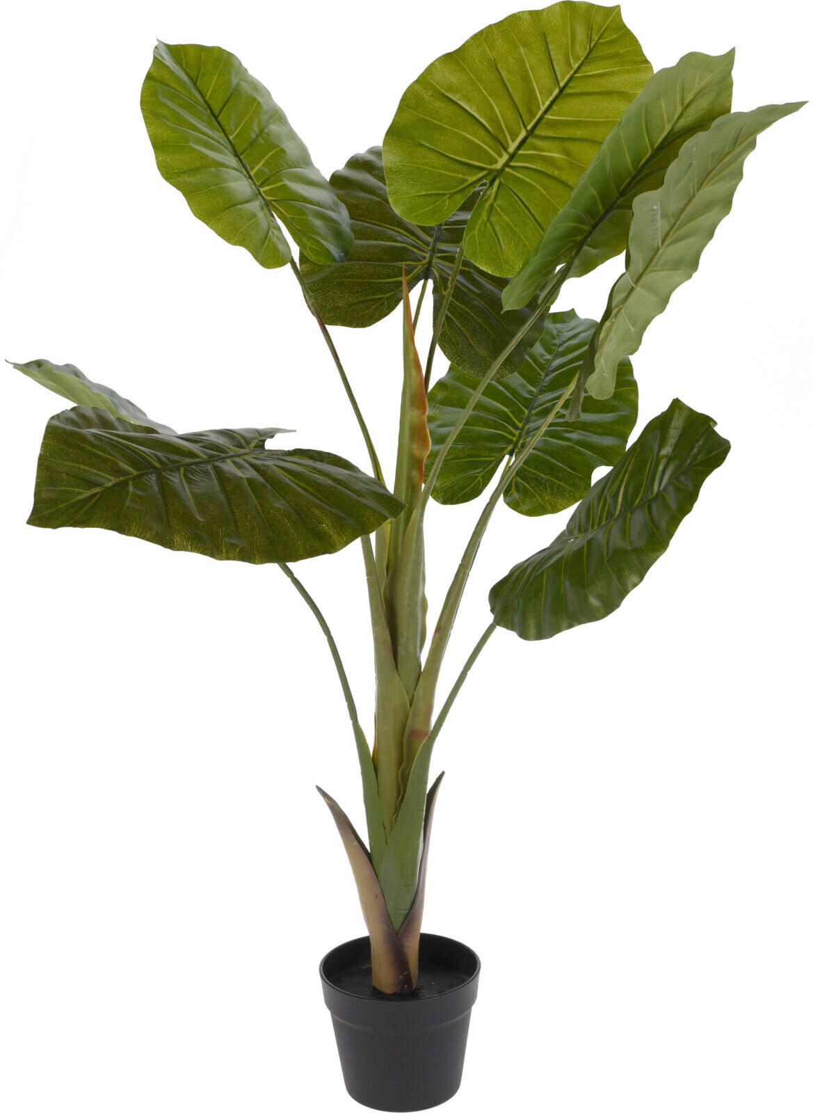 Plantă Artificială - Basics, plastic (30/16/110cm)