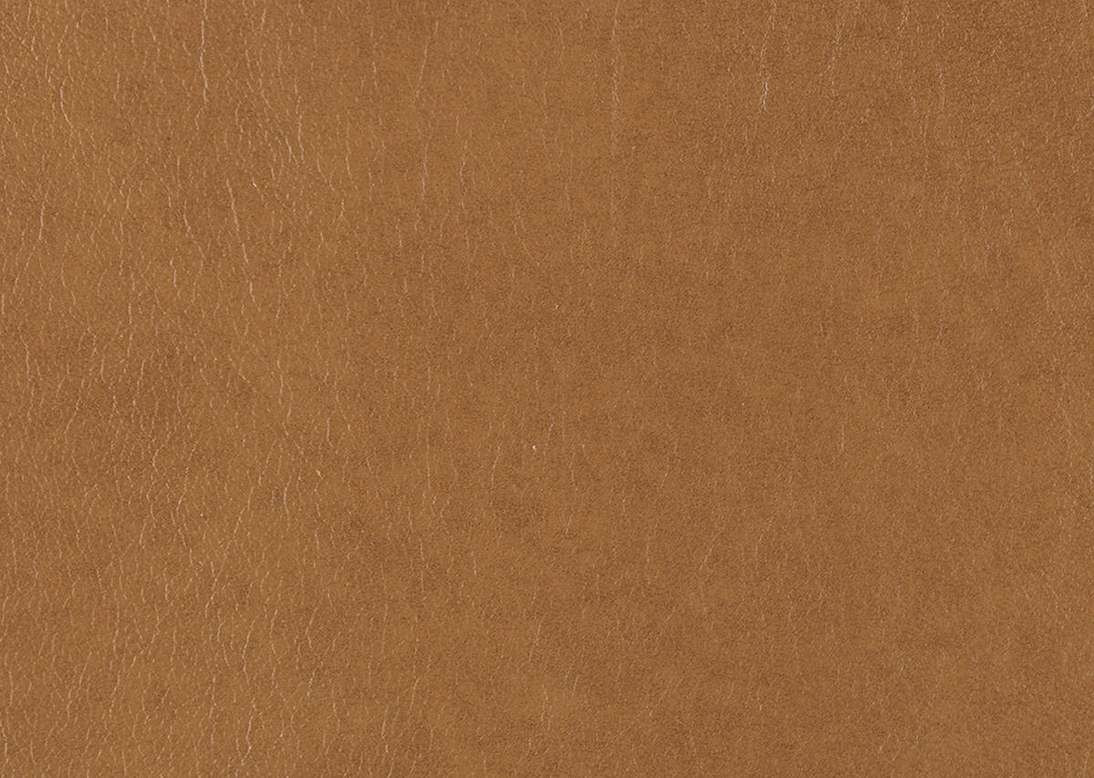 SESSEL in Echtleder Hellbraun  - Hellbraun/Schwarz, Design, Leder/Kunststoff (80/78/82cm) - Celina