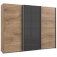 SCHWEBETÜRENSCHRANK 270/210/65 cm 3-türig Dunkelgrau, Plankeneiche  - Plankeneiche/Dunkelgrau, KONVENTIONELL, Glas/Holzwerkstoff (270/210/65cm) - Carryhome