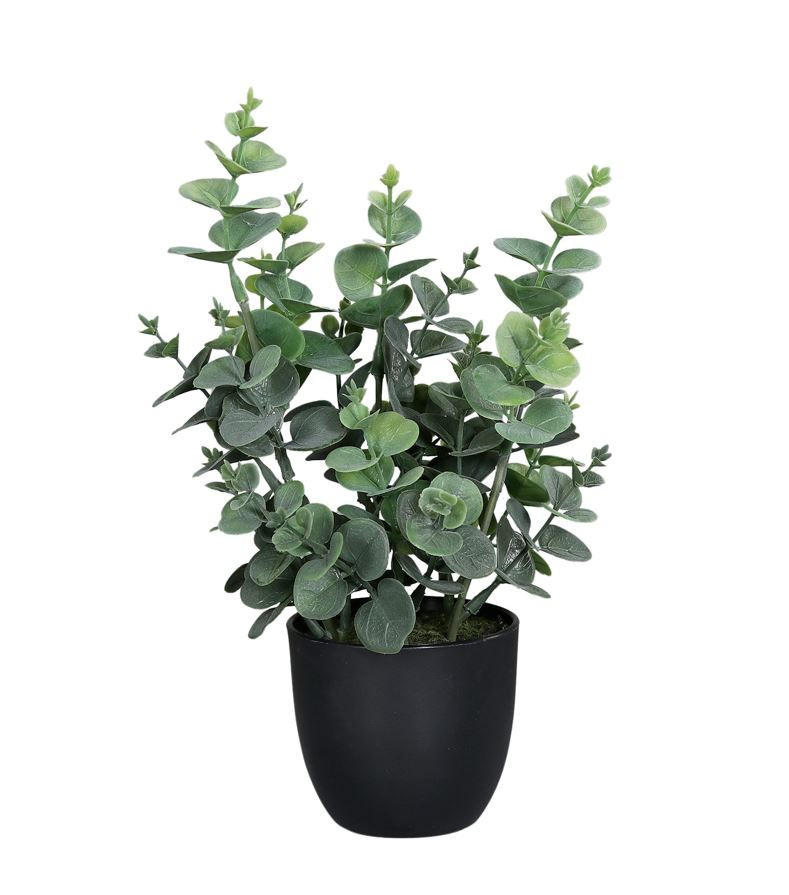 KUNSTPFLANZE 30 cm  - Schwarz/Grün, Basics, Kunststoff (30cm)