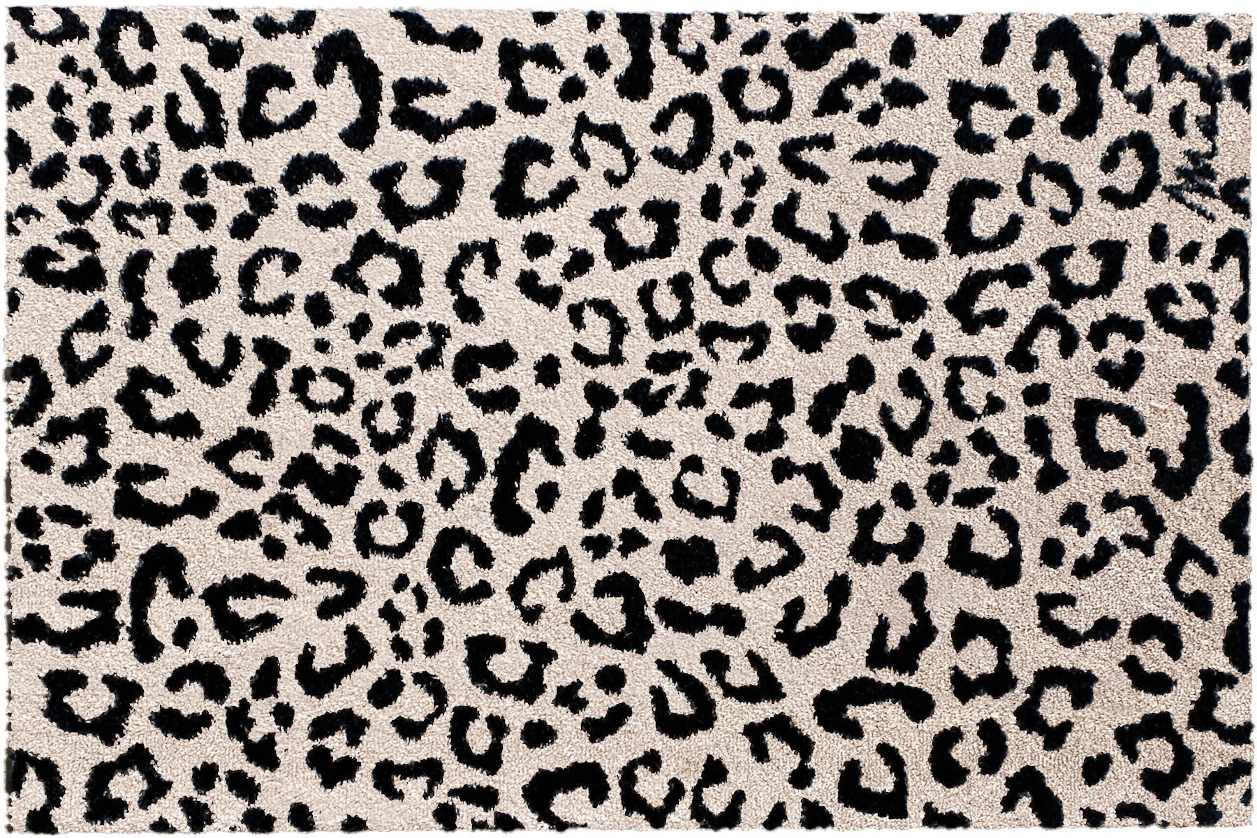 FUßMATTE  50/75 cm  Schwarz, Beige  - Beige/Schwarz, Trend, Kunststoff (50/75cm) - madaboutmats