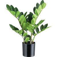 KUNSTPFLANZE 45 cm  - Schwarz/Braun, Design, Kunststoff (45cm) - P & B