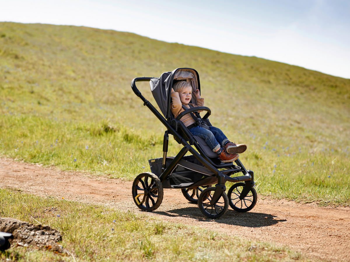 KINDERWAGENGESTELL Veer Switchback &Roll  - Dunkelgrau, Basics, Metall (91/107cm) - Veer