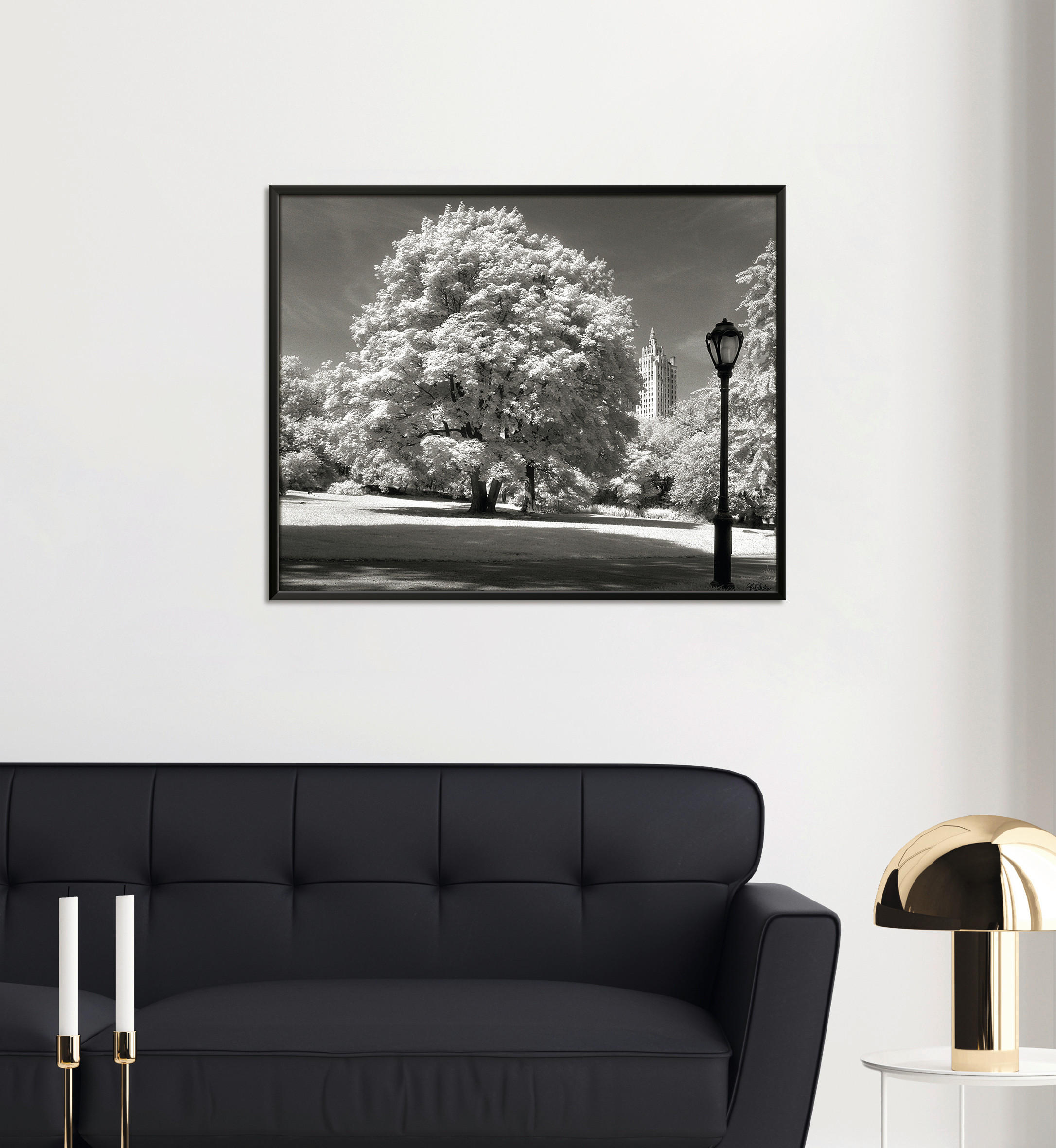 KUNSTDRUCK Städte, Bäume 50/40 cm  - Schwarz/Weiß, Basics, Papier (50/40cm) - Monee