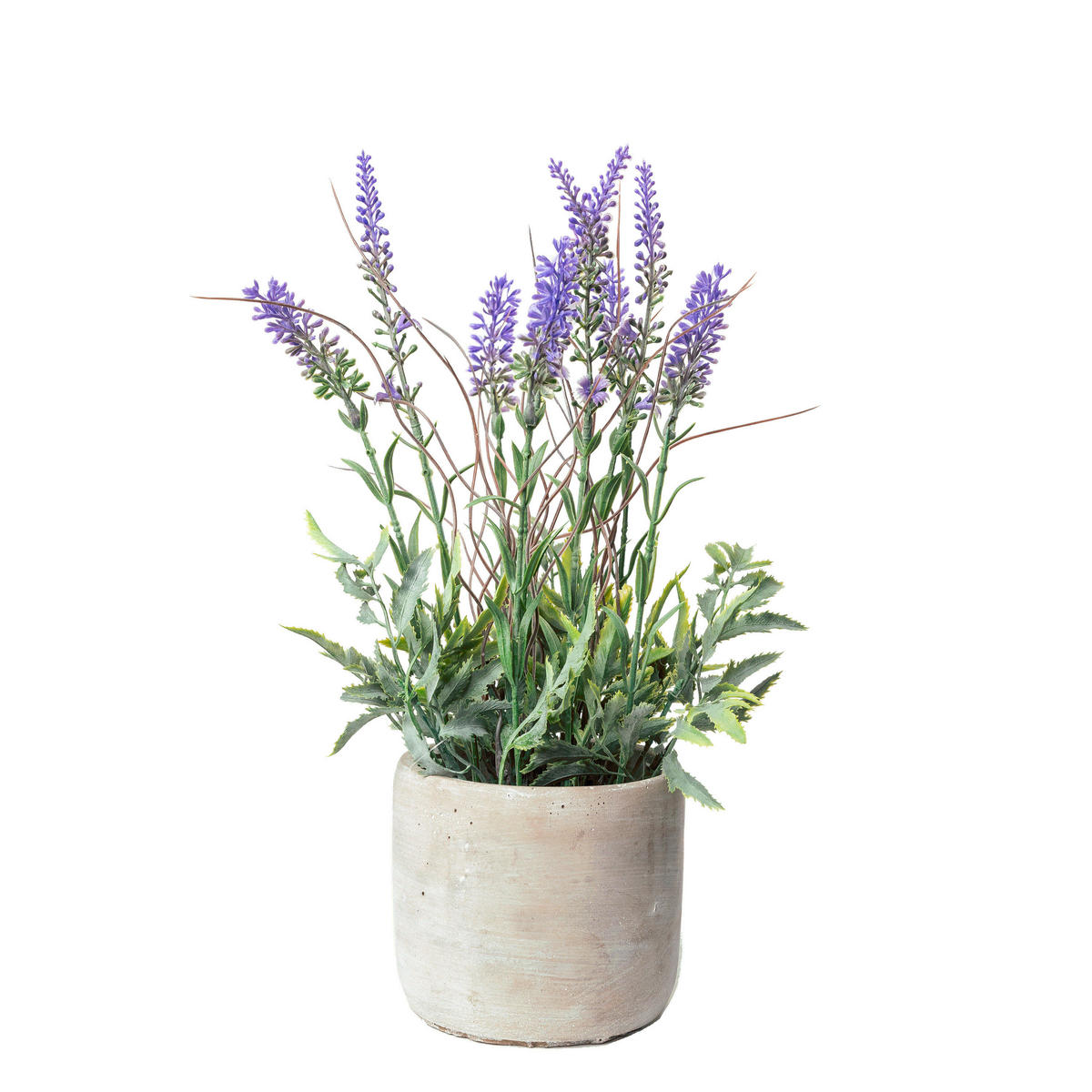LAVENDEL  - Lila/Grün, Basics, Kunststoff (32cm)