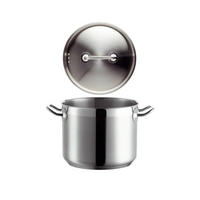 HÖG GRYTA Professional 5 l  - silver, Basics, metall (20/16,2/28,5cm) - Mäser