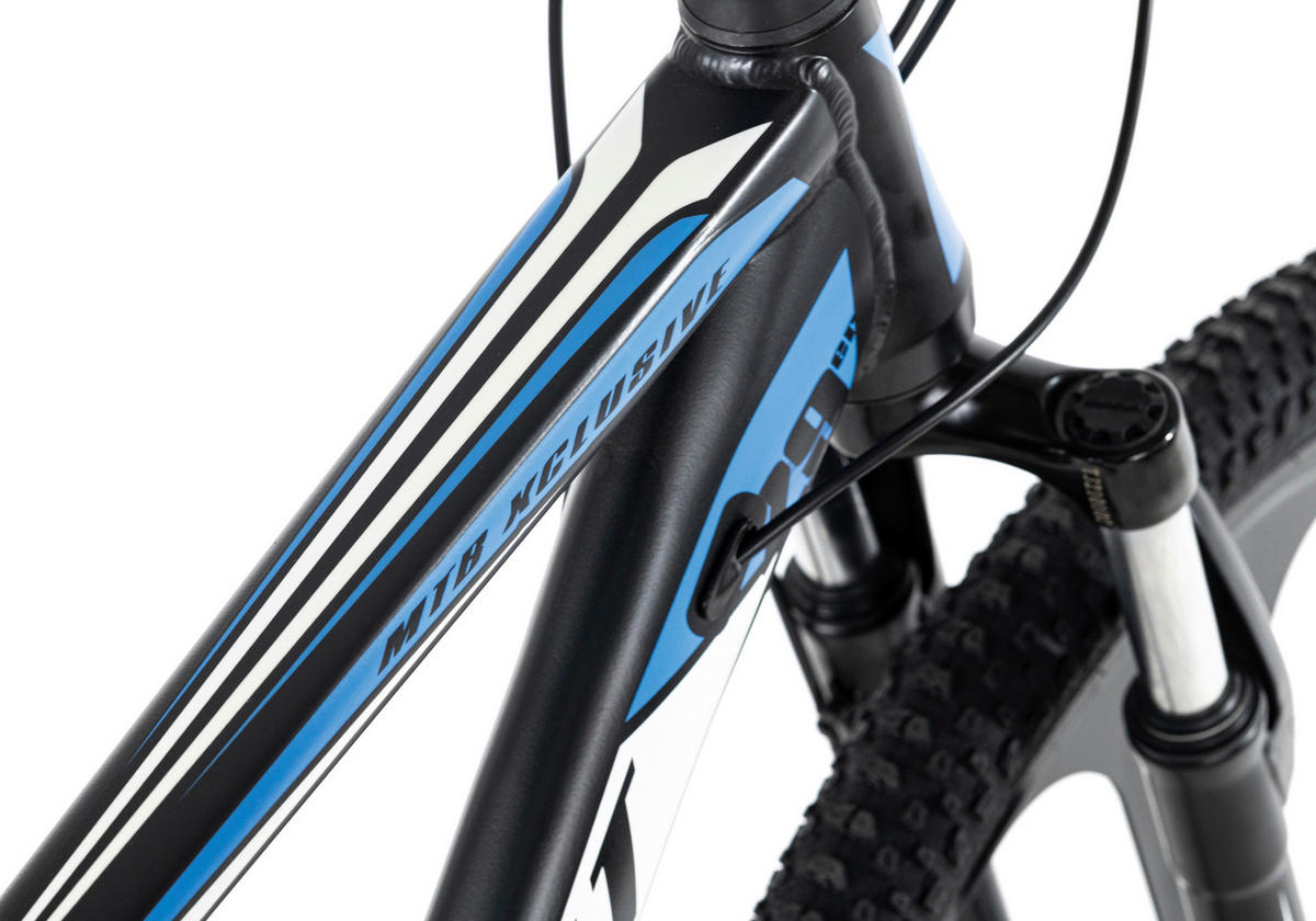 MOUNTAINBIKE 29 Zoll  - Blau/Schwarz, Basics, Metall (139/76/21cm) - Atrigo