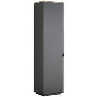 GARDEROBENSCHRANK  in 50/200/40 cm  - Anthrazit/Schwarz, Design, Holzwerkstoff/Metall (50/200/40cm) - Dieter Knoll