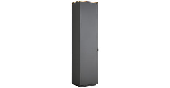 GARDEROBENSCHRANK  in 50/200/40 cm  - Anthrazit/Schwarz, Design, Holzwerkstoff/Metall (50/200/40cm) - Dieter Knoll