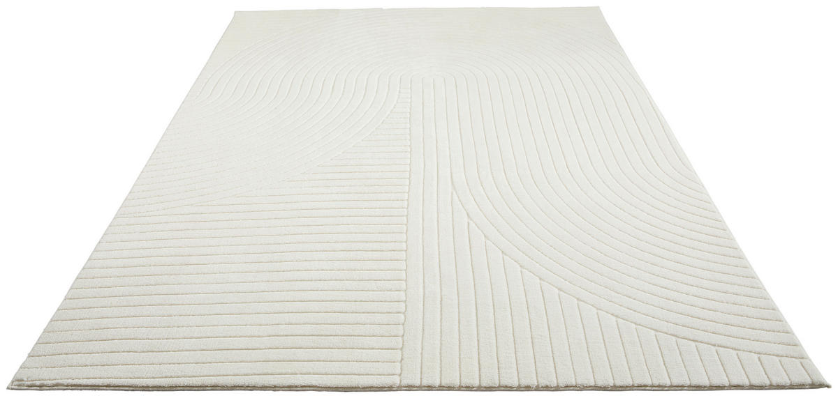 HOCHFLORTEPPICH 120/170 cm Weiß  - Weiß, Design, Kunststoff/Textil (120/170cm) - Novel