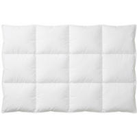 DAUNENDECKE  100/135 cm 10 % Federn 90 % Daunen  - Weiß, Basics, Textil (100/135cm)