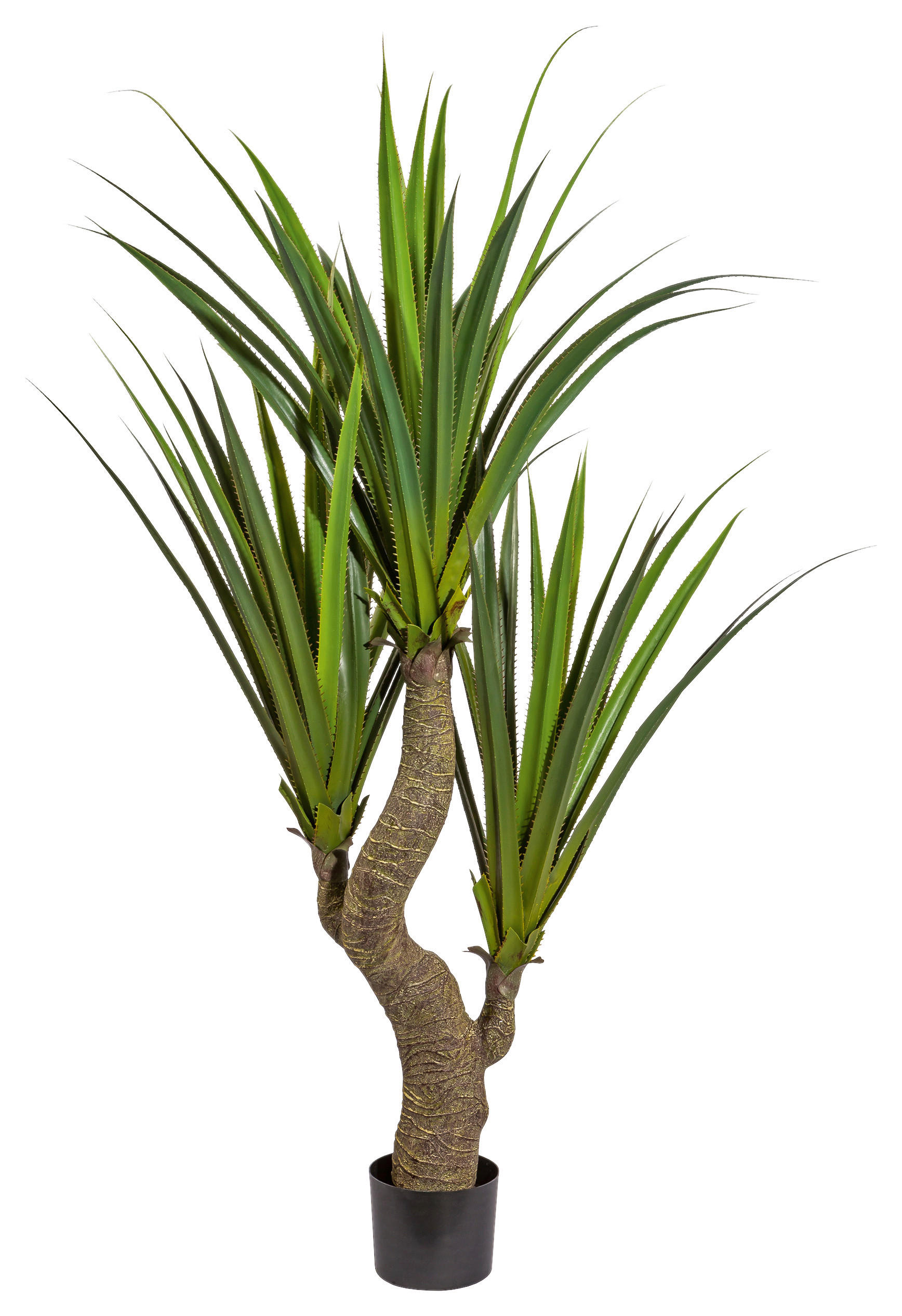 KUNSTPFLANZE Agave 160 cm  - Schwarz/Braun, Design, Kunststoff (160cm) - P & B