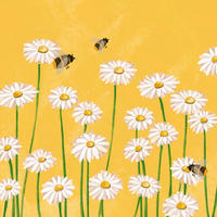 SERVIETTE  16,5/16,5 cm   - Multicolor, Basics, Papier (16,5/16,5cm) - PPD