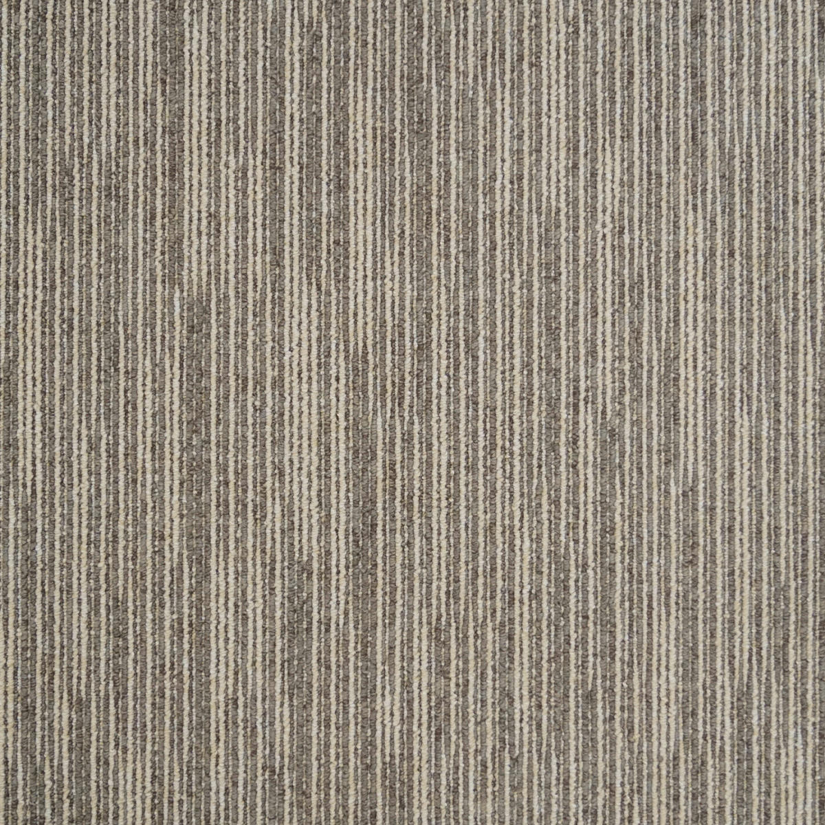 Teppichfliese Ambition 70 50/50 cm in Hellbraun  - Hellbraun, Basics, Textil (50/50cm)