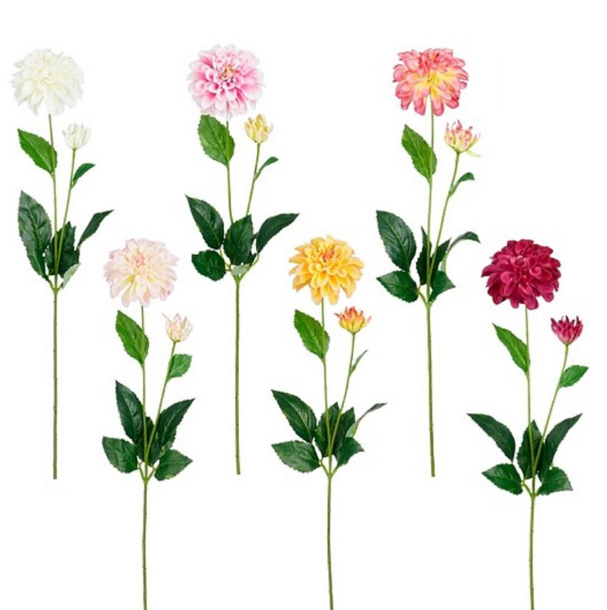 VALLMO - lila/orange, Basics (65cm)