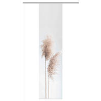 PANELOVÝ ZÁVĚS, 60/260 cm - pískové barvy, Natur, textil (60/260cm)