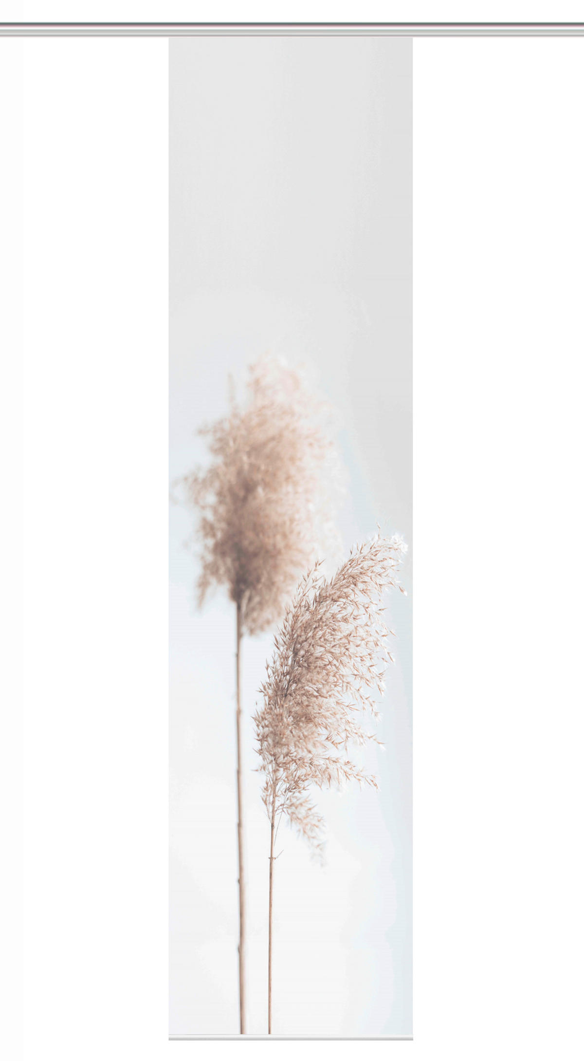 PANELOVÝ ZÁVĚS, 60/260 cm - pískové barvy, Natur, textil (60/260cm)