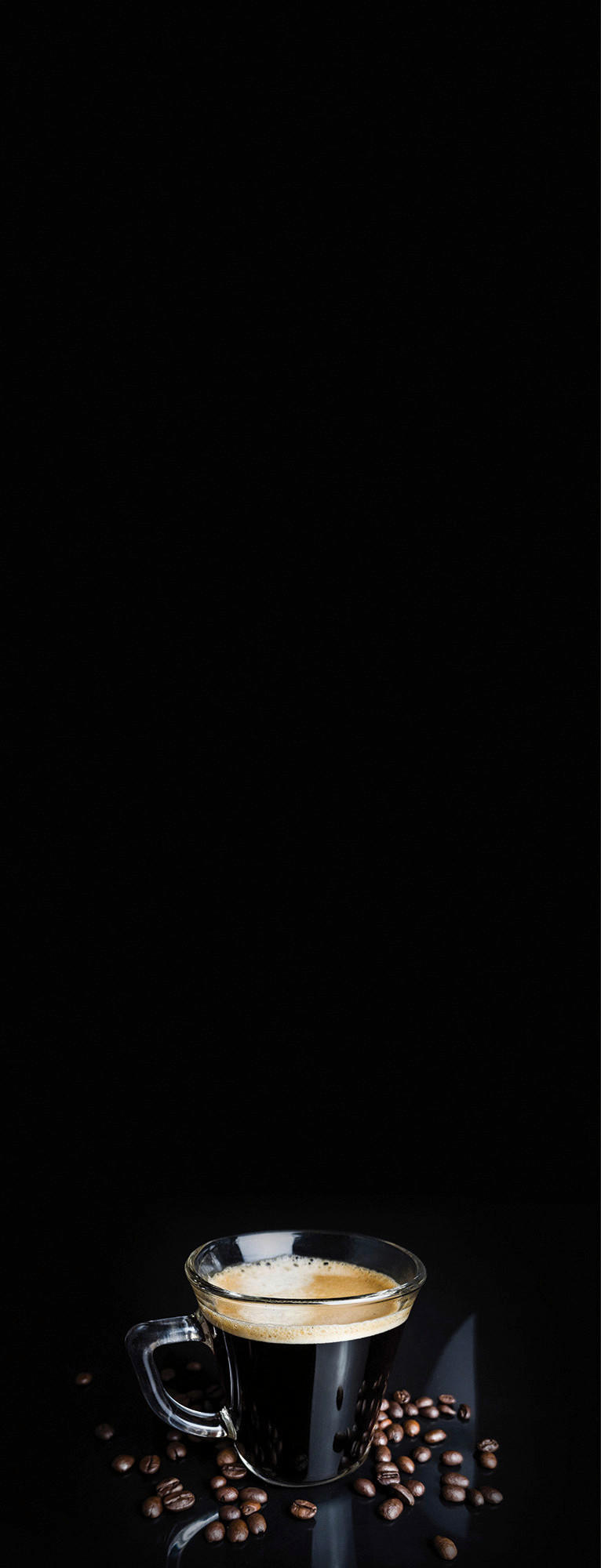 MAGNETTAFEL - Schwarz/Braun, KONVENTIONELL, Glas (30/80/1,5cm) - Euroart