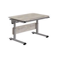 IFJÚSÁGI ÍRÓASZTAL  - ezüst/szürke tölgy, Basics, faalapú anyag/fém (105/70/53-79cm) - Paidi