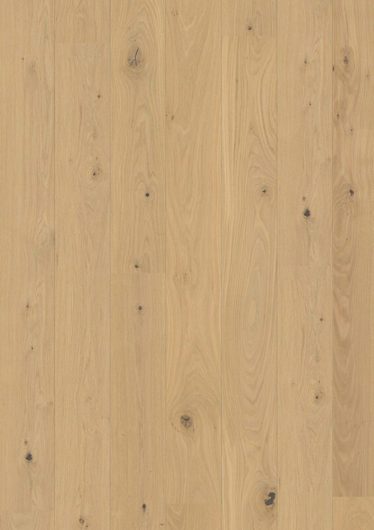 LANDHAUSDIELE Marcanto Trend Eiche Natur!Pur 100011601  per  m² - Eichefarben, Trend, Holz (220,5/17,6/1,3cm) - Tilo