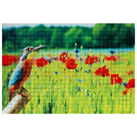 DVEŘNÍ ROHOŽKA, 40/60 cm - zelená/červená, Basics, textil/plast (40/60cm)